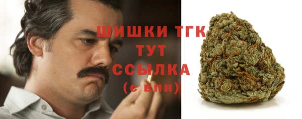 меф Заводоуковск