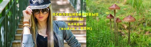 меф Заводоуковск